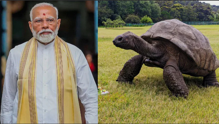 सेशेल्स दौरे पर दुनिया के सबसे उम्रदराज़ जीवित कछुए से मिलेंगे पीएम मोदी, भारत-सेशेल्स रिश्तों को मिलेगी नई मजबूती