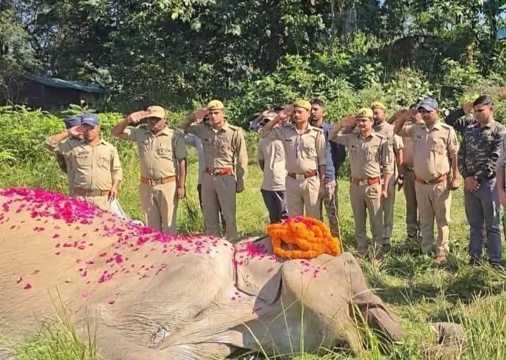 अलविदा सोनाकली: कॉर्बेट की वीरांगना हथिनी का राजकीय सम्मान से अंतिम संस्कार